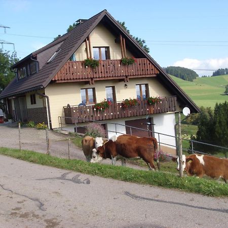 Apartmán Duerrenbartleshof Breitnau Exteriér fotografie