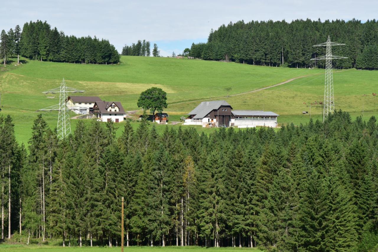 Apartmán Duerrenbartleshof Breitnau Exteriér fotografie